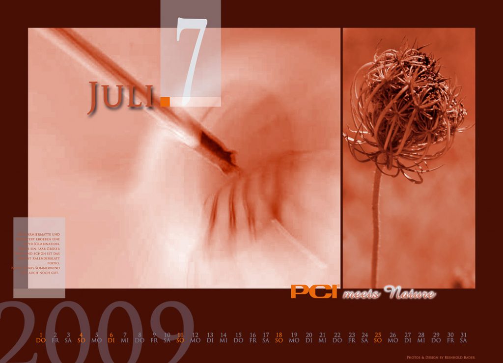 calendar_2009_7